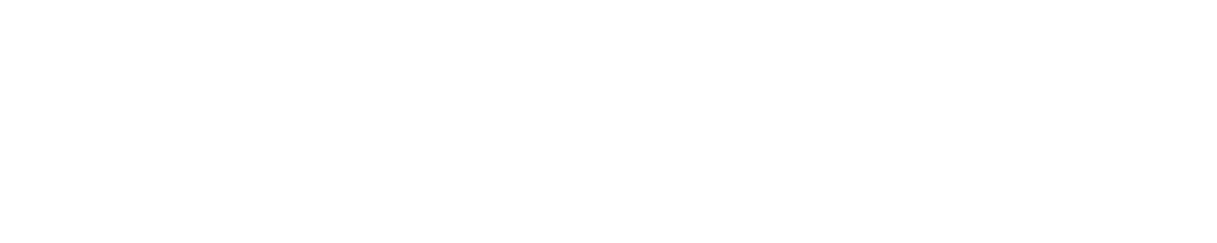 Lieblingsstücke für dein Pferd