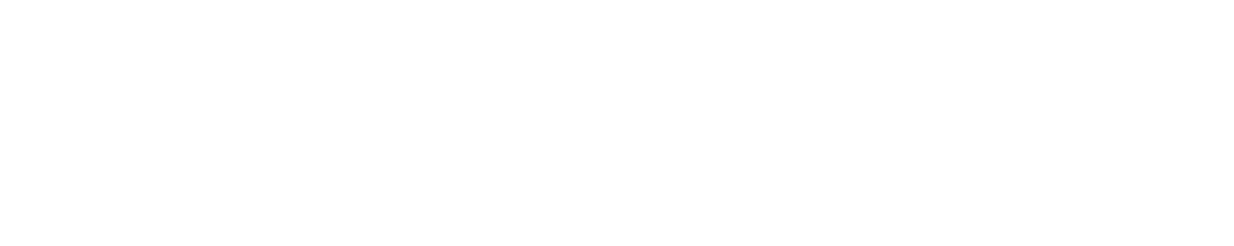 Lieblingsstücke für deinen Hund